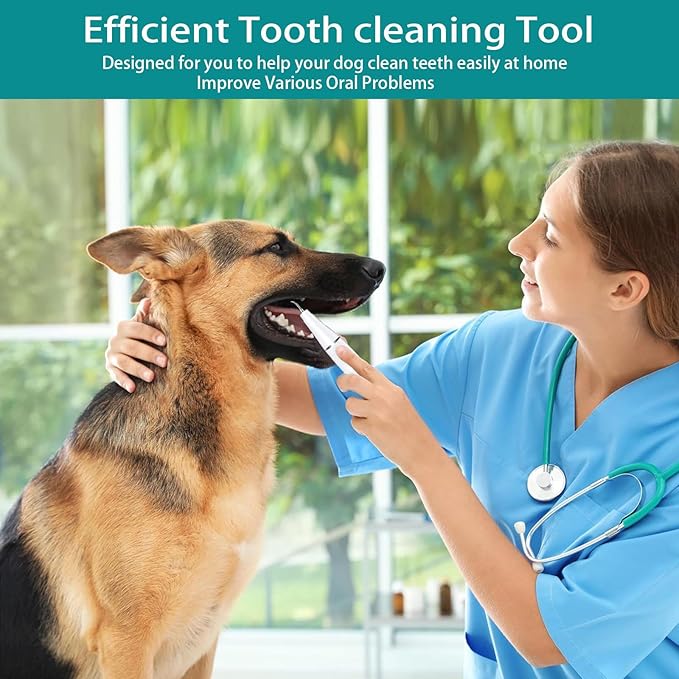 Plaque Remover for Teeth, Pet Ultrasonic Cleaner, Dog Plaque and Tartar Remover with LED Light, Dog Teeth Cleaning Dental Care Kit for Tartar and Stains, Suitable for Dogs and Cats (White)