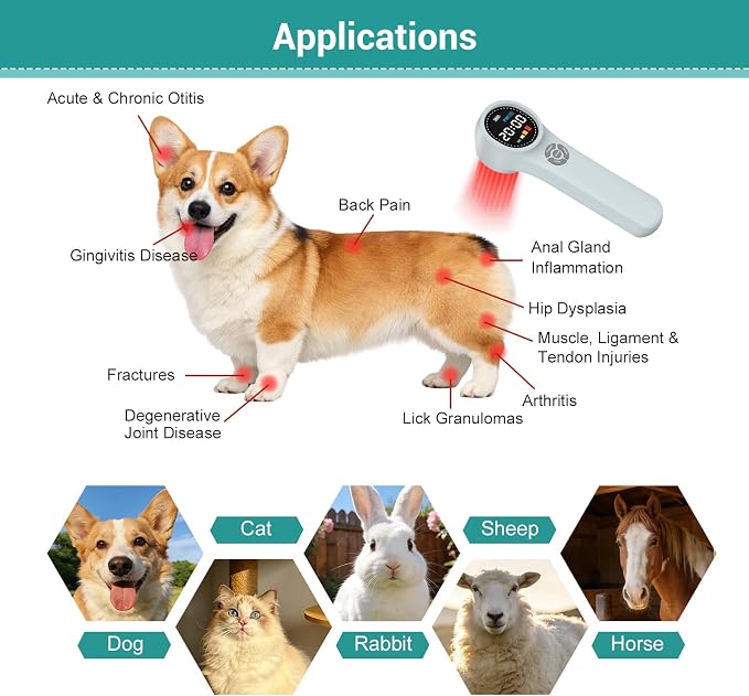 Cold Laser Therapy Device for Dogs, Infrared Red Light Therapy Device | 980nmx4 810nmx4 660nmx16, Handheld Cold Laser Therapy Device for Pain Relief, Arthritis, LLLT for Dogs, Cats, Horses, Equnie