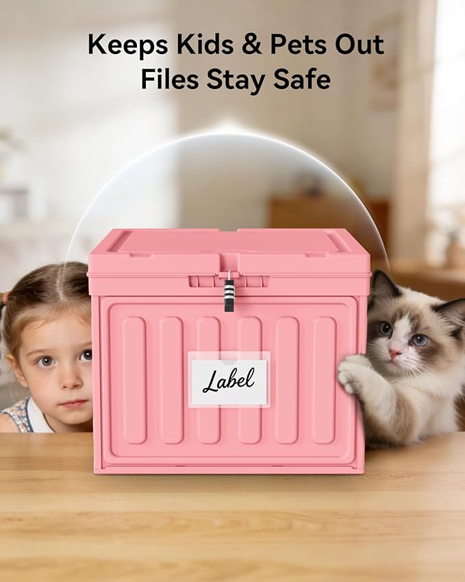 Oterri Lockable Plastic File Box with Lid for Letter-Size | Hanging File Folders Not Included. Pink, Large 1-Pack. Home, Office, Classroom, Dorm, Tax, Under Bed, Filing Cabinet.