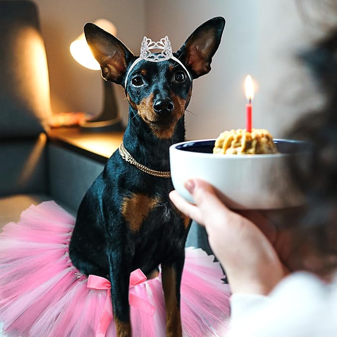 2 Pcs Dog Crown Headband Dog Tutu Dress Set Crystal Rhinestone Tiara Crown Tutu Skirt Pet Dress Costume for Puppy Birthday Party Wedding Photo Prop Costume(Large,Rose Red, White)