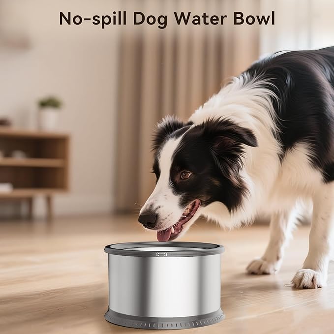 2PCS 2.5L No Spill Dog Water Bowl 84oz Stainless Steel Slow Water Bowl for Small Medium Dogs Splash Proof Pet Bowl with Anti-Slip Mat for Sloppy Messy Drinkers and Cats