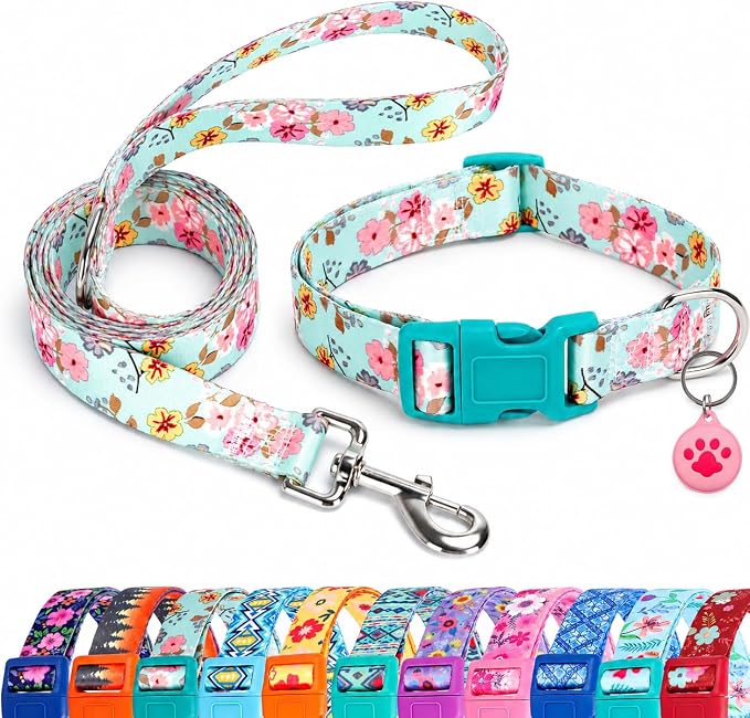 Floral Matching Dog Collar and Leash Set with AirTag Holder-Lily Daisy/M | Anti-Lost,Adjustable Durable Pet Collar Leash Combo for Medium Boy Girl Dogs,for Outdoor Walking Hiking Training Running
