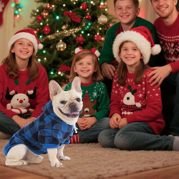 KOOLTAIL Plaid Dog Hoodie Pet Clothes Sweater with Hat and Pocket for Small Medium Large Size Dogs, Soft Winter Warm Dog Cold Weather Coat, Fleece Fall Dog Hooded Sweatshirt for Puppy Cats, Blue XS