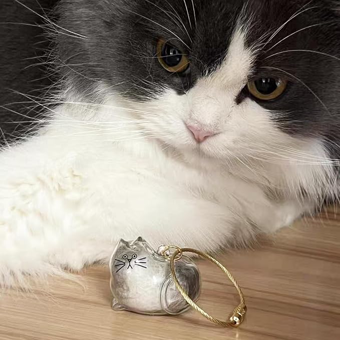 Cute Cat Hair Keychain Transparent Pet Fur Keepsake with Tweezer | Portable Cat Fur Keychain DIY Pet Hair Memorial Keepsake Cats Hairs Collector Charm Storage Box, Cats Lover Collecting Gifts