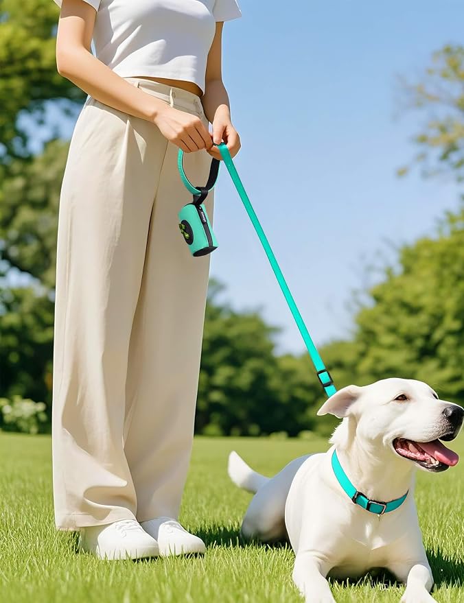Gobeigo 2-in-1 Dog Poop Bag Holder【Easy Pull-Out Version】(Turquoise) | Hard Plastic Insert & Soft Fabric Bag Snap-On Strap Dispenser Fits Retractable and Standard Leashes with 1 Roll Bags