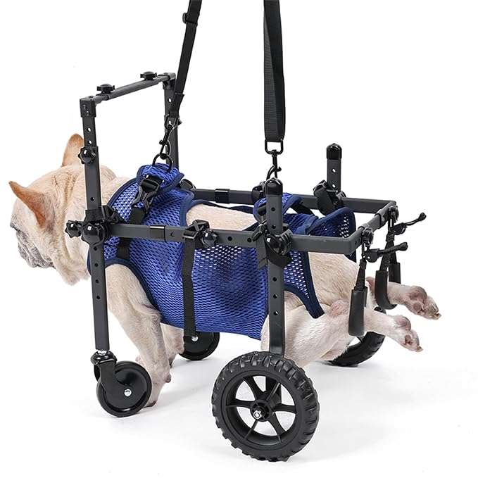 Quad Dog Wheelchair for Disabled Dogs, 4-Wheel Mobility Cart with Harness | Stable 4-wheel support with breathable harness helps senior and disabled dogs move with greater comfort and confidence.
