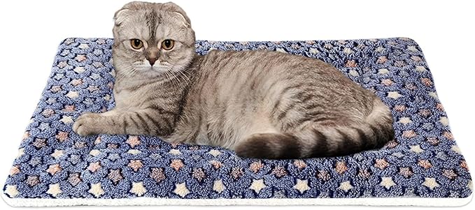 Mora Pets Cat Bed Ultra Soft Dog Crate Pad Star Print 14 x 17.5 inch Blue | Washable Crate Mat for Small Dogs and Indoor Cats, Reversible Fleece Dog Kennel Pad, Flat Pet Bed, Cat Carrier Mat