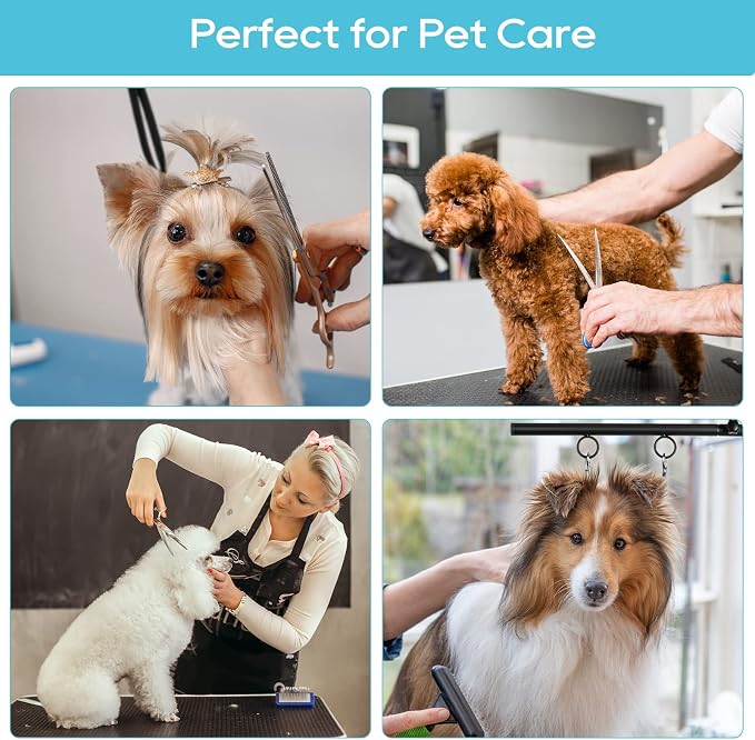 Adjustable Pet Grooming Arm with Clamp for Small & Medium Large Dogs,35" | Dog Grooming Arm,Grooming Loop & No Sit Haunch Holder Dog Grooming Station with Clamp for Home Use,Nail Trimming & Drying