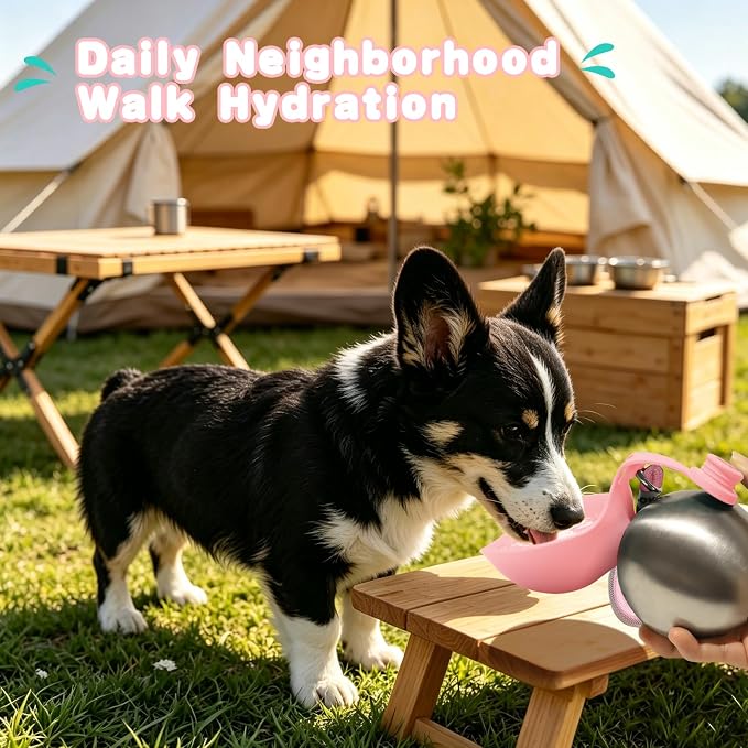 Drain-Back Stainless Steel Portable Dog Water Bottle with Bowl for Walks