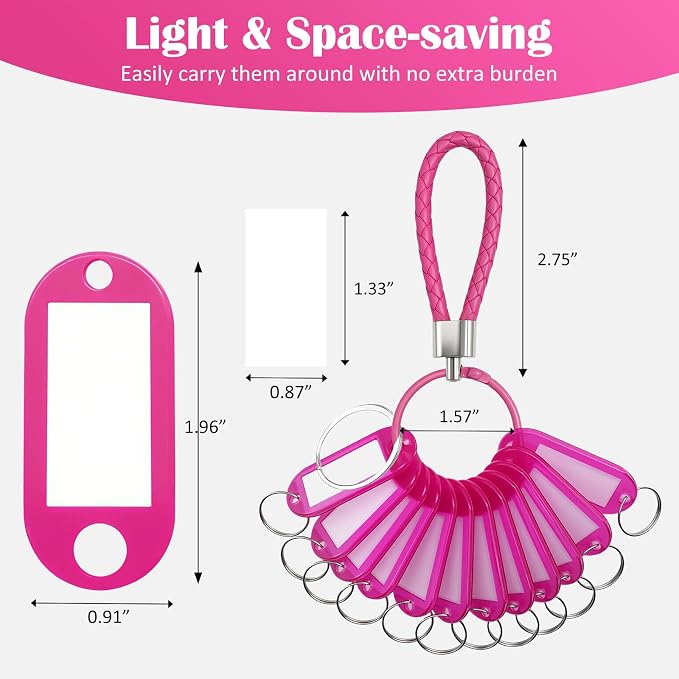 12 Pcs Plastic Key Tags with Labels and Ring Window, Single Color for Luggage, Pet ID, USB Drive (1 Color)
