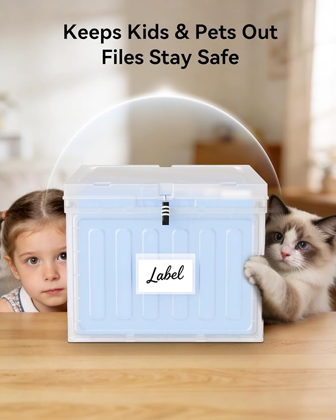 Oterri Lockable Plastic File Box with Lid for Letter-Size | Hanging File Folders Not Included. Clear, Large 1-Pack. Home, Office, Classroom, Dorm, Tax, Under Bed, Filing Cabinet.
