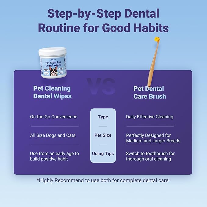 Dog Toothbrushes for Medium and Large Dogs, 2pcs, Ultra Soft Bristle, Long Durable Handle, Pet Tooth Brush and Dental Care Kit, Super Thin Bristle Gentle on Gum for Sensitive Pets, Amber