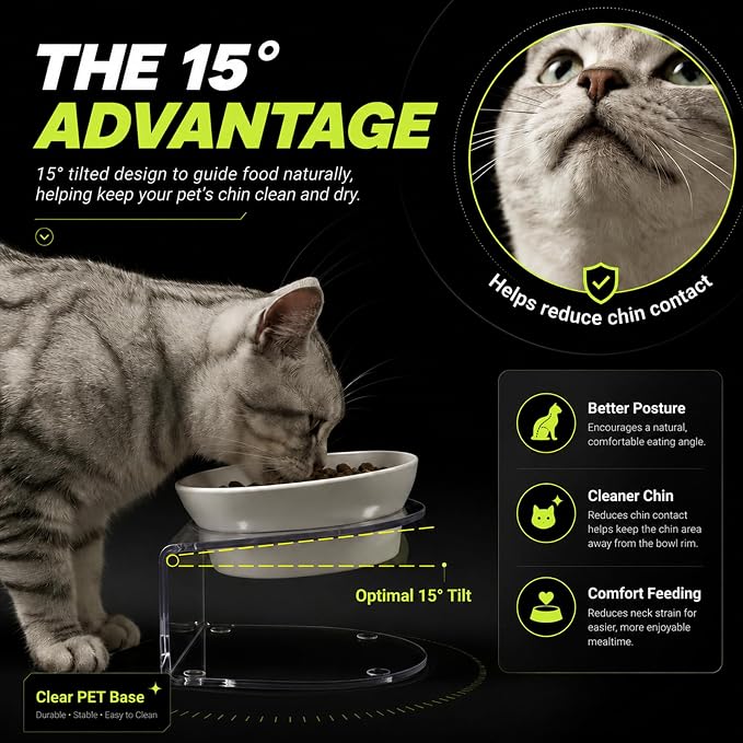 Raised Cat Bowl, 15° Tilted, 4.5 in High, White | 15° tilted shallow melamine bowl on a 4.5 in raised stand supports comfortable feeding and reduces whisker contact.