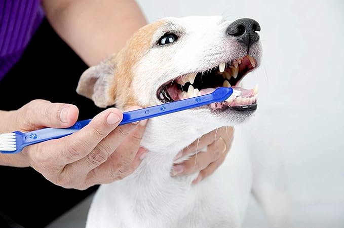 Pets First Softest Bristle Dog Toothbrush Extra Large Long Double Sided for Small & Large Teeth - Set of 2