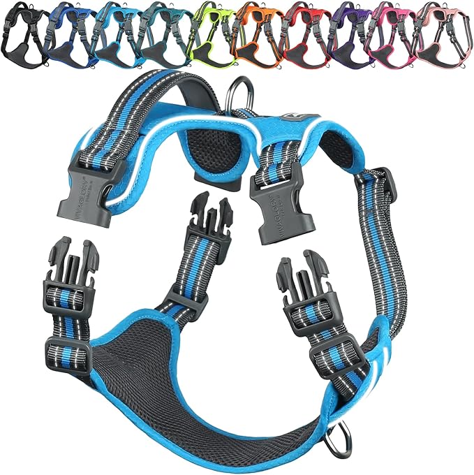 VIVAGLORY No Pull Dog Harness Vest Harness, L, Sky Blue - Patterned | with Handle Front and Back Clip for Training & Pulling, No Pull & Escape Proof Padded Adjustable for Pet Puppy