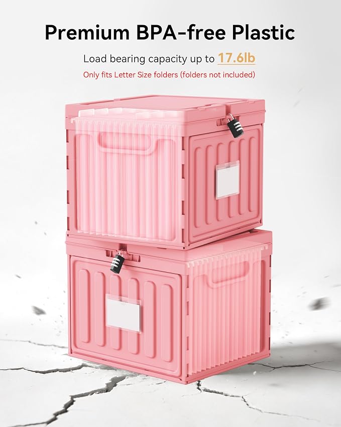 Oterri Lockable Plastic File Box with Lid for Letter-Size | Hanging File Folders Not Included. Pink, Large 1-Pack. Home, Office, Classroom, Dorm, Tax, Under Bed, Filing Cabinet.