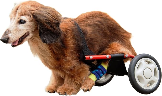 PaletteLife Miniature Dachshund Wheelchair for Back Legs, Adjustable Dog Cart with Wheels, Lightweight Mobility Support, Rear Leg Assistance for Small Dogs