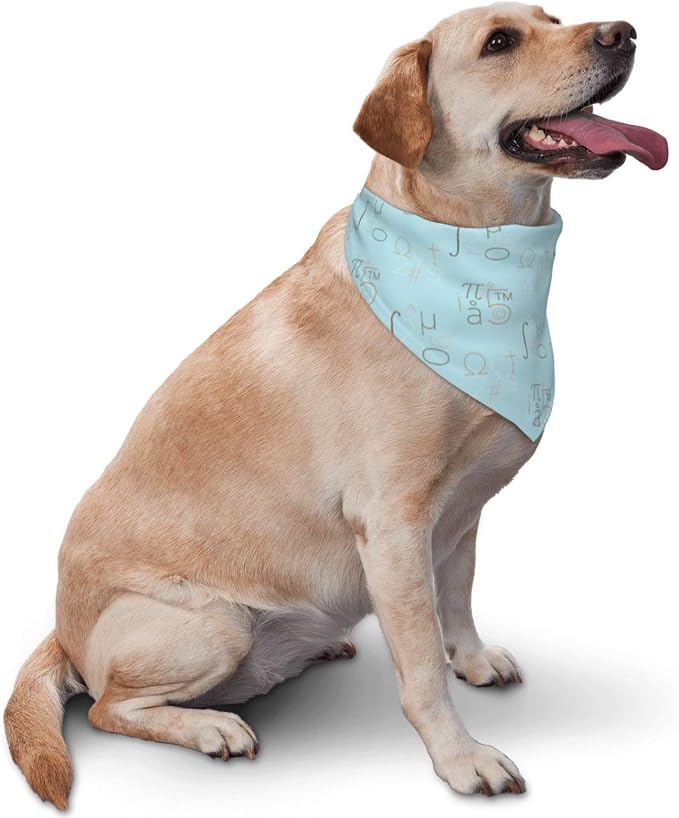Teacher's Pet Dog Bandana,Funny Bandana Gift,Photo Prop Accessories for Dog Lovers Owner Gift,Triangle Reversible Fall Scarf, Adjustable (Blue)