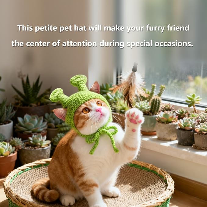 Cute Cat Hat Costume Suitable for 5 to16 lbs - cat Hats for Cats only Head Circumference 11" or Less Kitten hat pet Photography Outfits