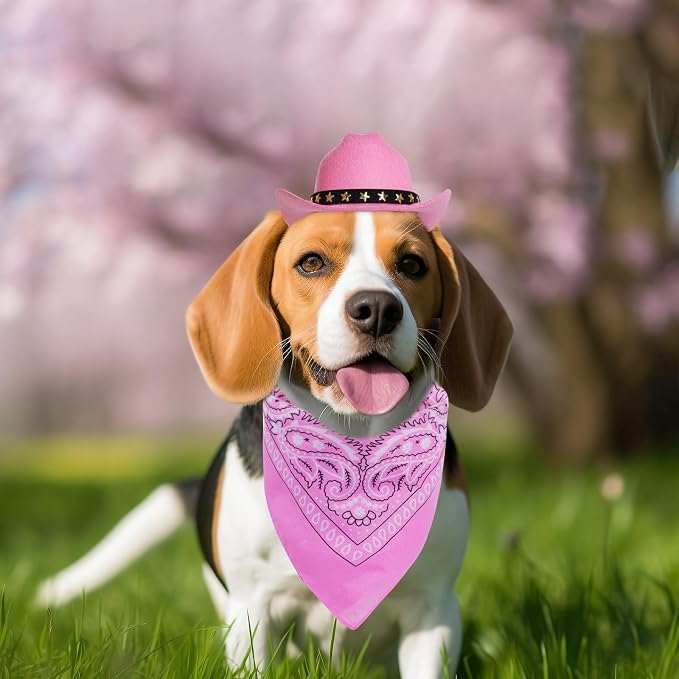 choyaxo Halloween Costumes for Dogs Cat Pet Cowboy Costume Cowboy Hat with Bandana Set for Halloween, Christmas, Holiday, Party, Cosplay (Pink, Large)