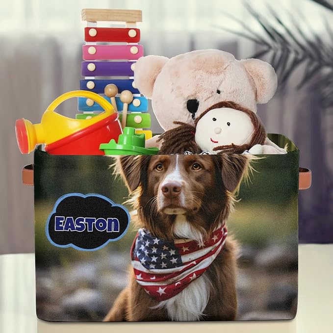 Personalized Storage Basket with Name, Rectangle Toys Pet Dog Storage Bin with Handles for Baby, Boys, Girls, Collapsible Basket for Clothes, Books