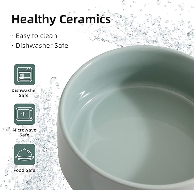 Havniva Ceramic Set of 2 Cat Bowls, Food and Water Bowls for Cats, Kitty, 2pcs Cat Dishes, Pet Feeder(5.1inch, 2 x Light Green Bowls)