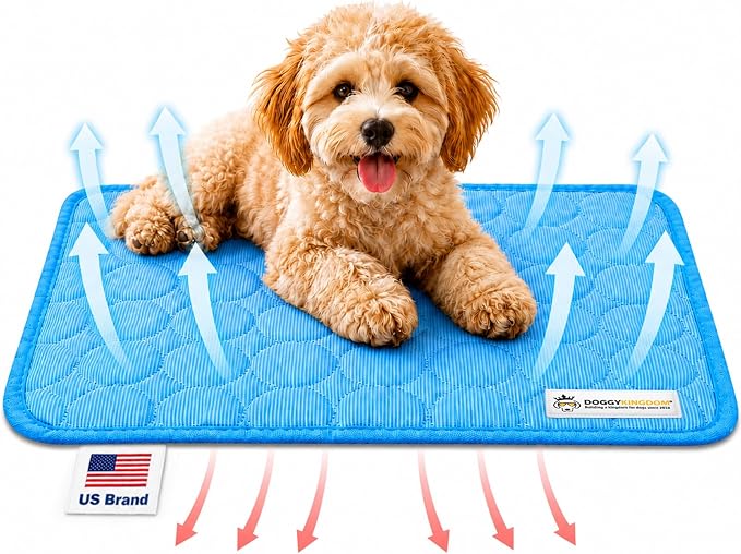 Doggykingdom Cooling Mat for Dogs – Ice Silk Self-Cooling Pet Pad for Dogs & Cats, Breathable Washable Cooling Pad for Crate, Kennel, Car & Floor, Summer Sleeping Mat, No Water Needed, Blue, Small