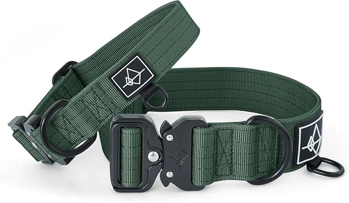 MADE TO ROAM Explorer Dog Collar | Heavy Duty Nylon & Durable Metal Buckle | Premium adjustable collar with rust-resistant hardware. Fits small to large dogs. 15 colors. Matching leash & harness
