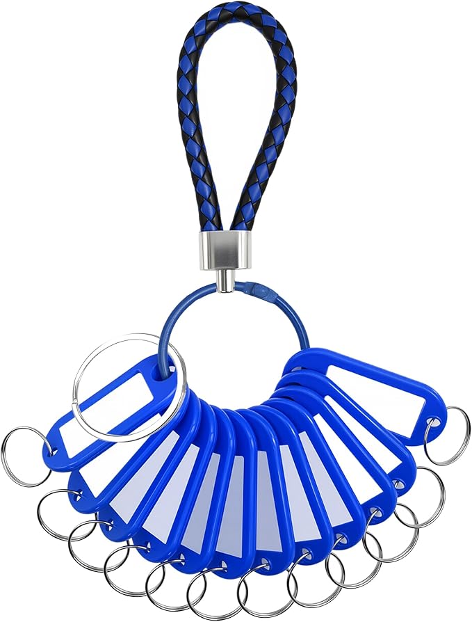 12 Pcs Plastic Key Tags with Labels and Ring Window, Single Color for Luggage, Pet ID, USB Drive (1 Color)