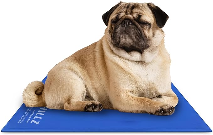 The Green Pet Shop Chillz Gel Mat, Medium - Pressure-Activated Cooling Pad for Pets 0-25 lbs - Non-Toxic, No Water or Refrigeration Needed - Ideal for Home, Travel & Crates