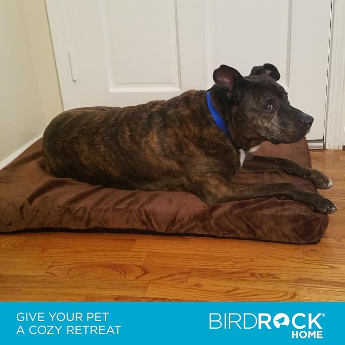 BIRDROCK HOME Memory 3" Memory Dog Bed | Ultra Soft Plush Pet Bed | Pet Mat (34 x 22, Brown)