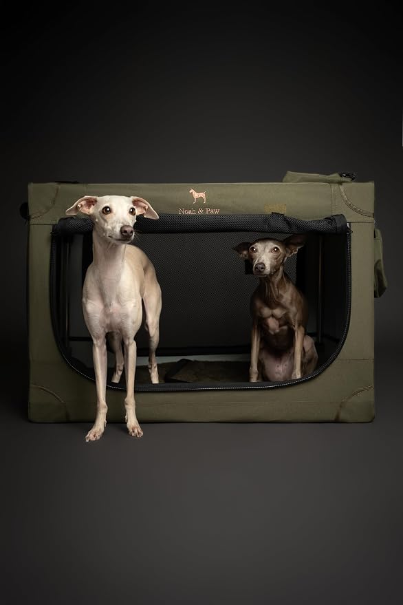 Noah & Paw Collapsible Dog Crate 30 Inches, Large Dog Crate for Large Medium Breeds, Travel Kennel for Car, Including Pet Mat for Pet Cage, 2 Storage Pockets, Handbag, 10mm Locking Zipper 30*21*21