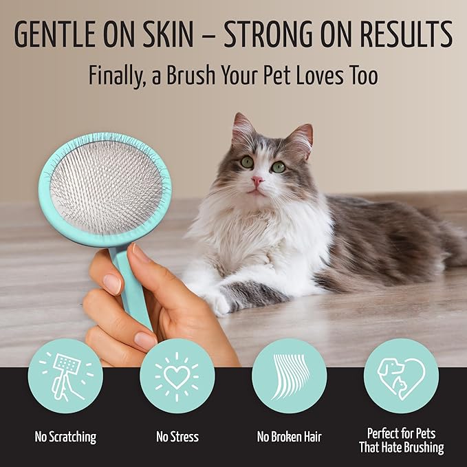 Tauro Pro Line Slicker Brush for Dogs & Cats, Deshedding, Dematting & Detangling Grooming Tool for Medium to Long Coats, Ideal for Cocker Spaniels, Round Flexible Cushion, Mint, Medium Size (M)