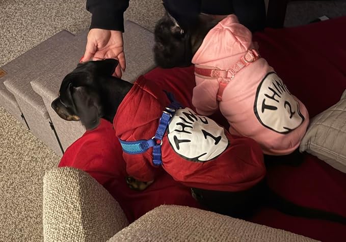 Dog Hoodie Pet Clothes for Small Dogs Thing 2 Printed Hoodies Medium Puppy Hooded Sweatshirt Pullover Outfit(Pink,S)