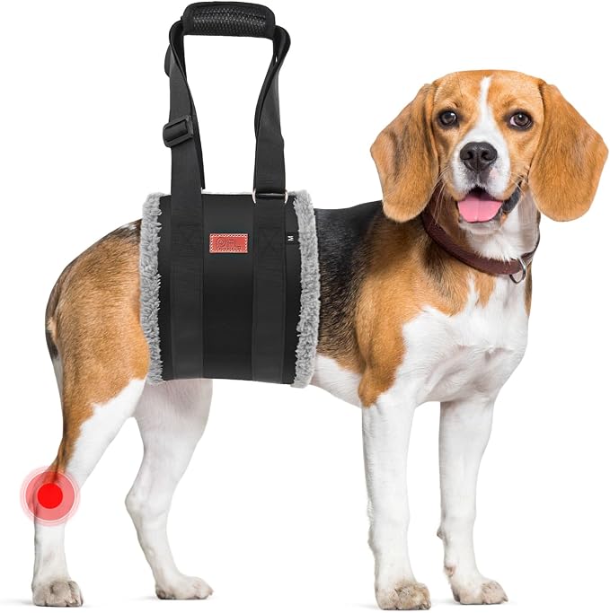 Adjustable Dog Sling for Medium Dogs Soft Post-ACL Surgery Mobility Aid | Dog Lift Harness, Helps Seniors, Injured, Disabled and After ACL Surgery Dogs, Daily Walk/ Stairs, Soft Padded, Easy to Use