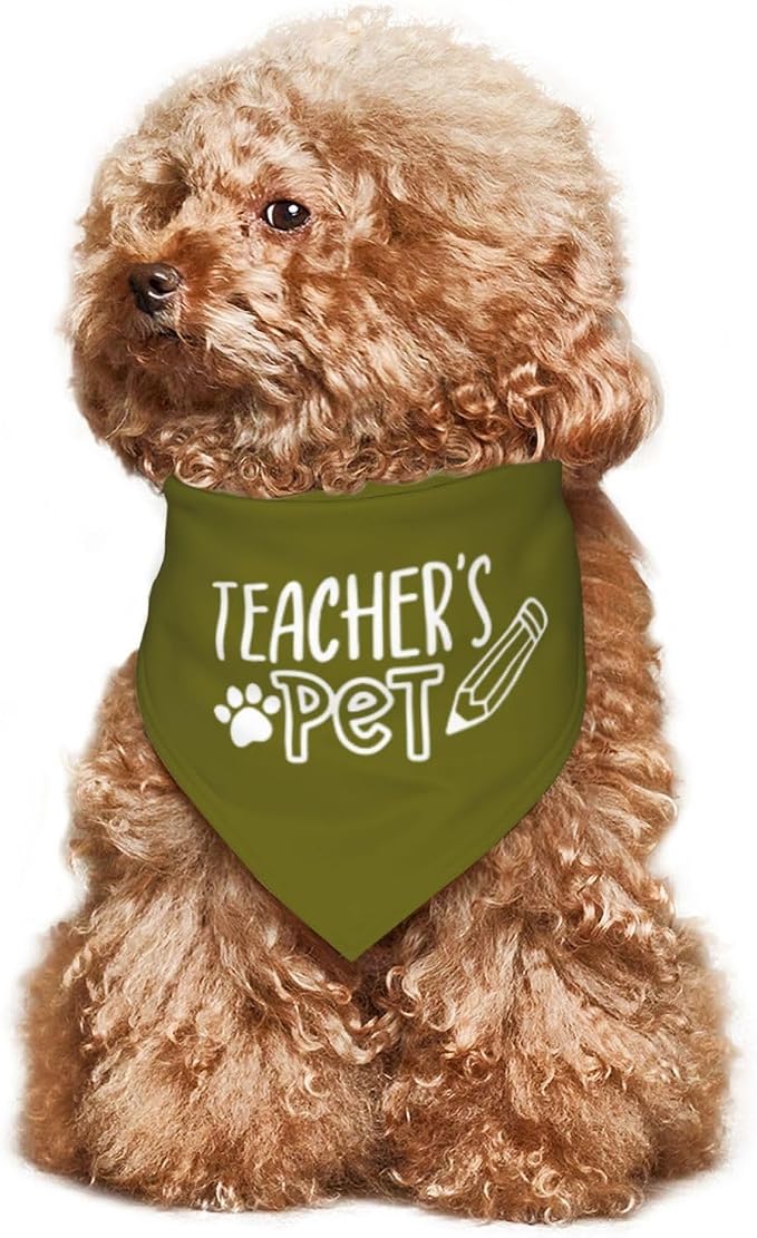 Teacher's Pet Dog Bandana,Funny Bandana Gift,Photo Prop Accessories for Dog Lovers Owner Gift,Triangle Reversible Fall Scarf, Adjustable (Green)