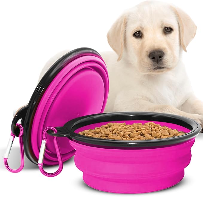 Collapsible Dog Bowls for Travel, BPA Free, Purple | Portable Dog Water Bowl, Food Dish for Cats, Foldable Pet Feeding Dish, Walking Hiking Camping with Carabiner