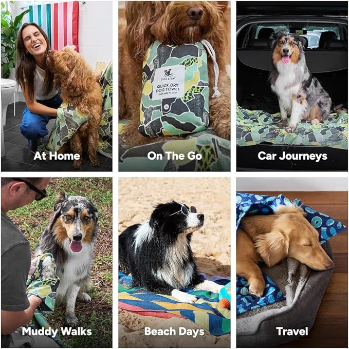 Dock & Bay Pet Towel - Super Absorbent & Quick Drying Dog Towels with Bag - 100% Recycled - Undercover Walkies, Medium (90x50cm, 35x19)