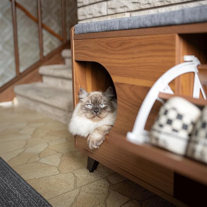 4 Cats & Dogs Tucker Shoe Cabinet – Multi-Functional Crate with Cushioned Bench Seat, Pet Nook & Hidden Cat Litter Box Storage, Modern Hallway Furniture 43” x 14” x 20”- Walnut