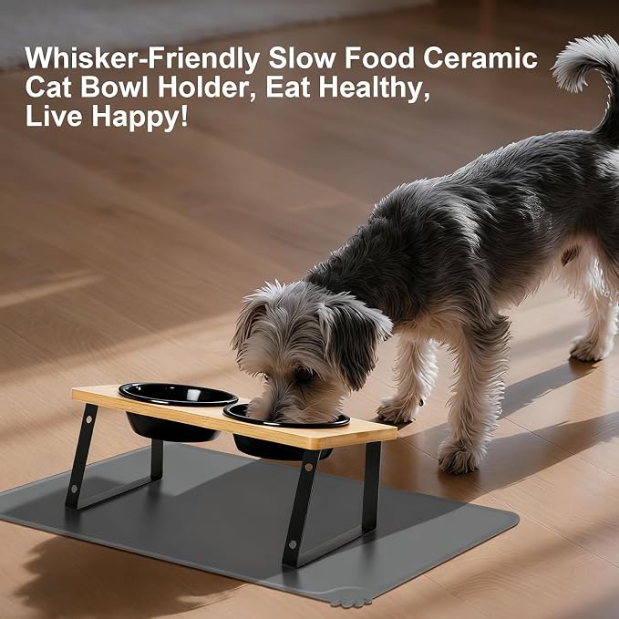 LEAWALK Upgraded Adjustable Height Cat Food Bowls Stand Ceramic Dog Bowls and Slow Feeder Cat Bowl, 15°Tilted Stand Anti Vomiting Raised for Small and Medium Sized Cats Dogs (Black)