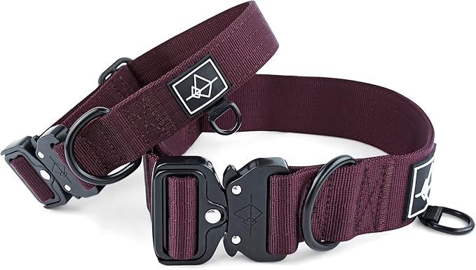 MADE TO ROAM Explorer Dog Collar | Heavy Duty Nylon & Durable Metal Buckle | Premium adjustable collar with rust-resistant hardware. Fits small to large dogs. 15 colors. Matching leash & harness