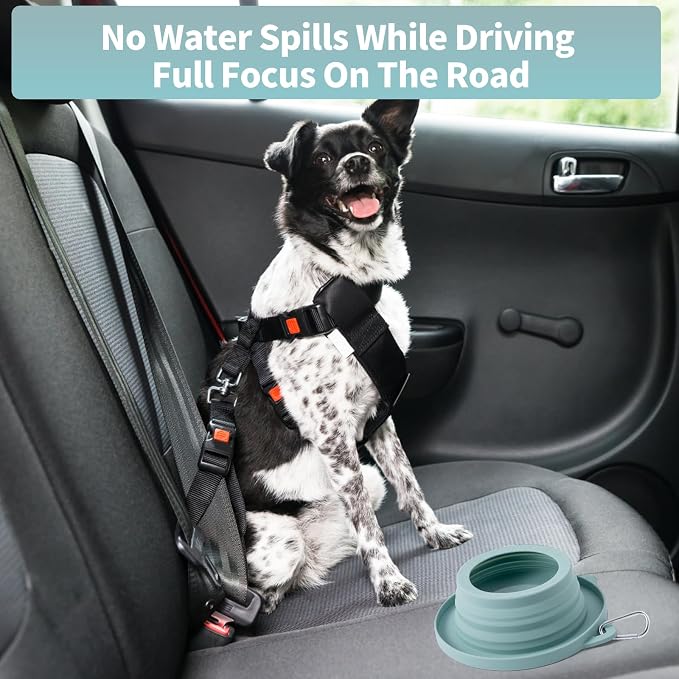 Spill Proof Dog Water Bowl for Car Road Trip, Collapsible Pet Travel Bowl | Collapsible Dog Bowl, No Splash Water Dish, Ant Away Pet Food Feeder, Silicone Travel Bowl for Pets Camping Hiking Car Trips