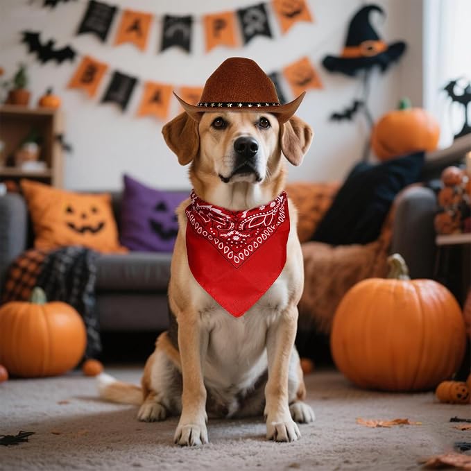 choyaxo Halloween Costumes for Dogs Cat Pet Cowboy Costume Cowboy Hat with Bandana Set for Halloween, Christmas, Holiday, Party, Cosplay (Brown, Large)