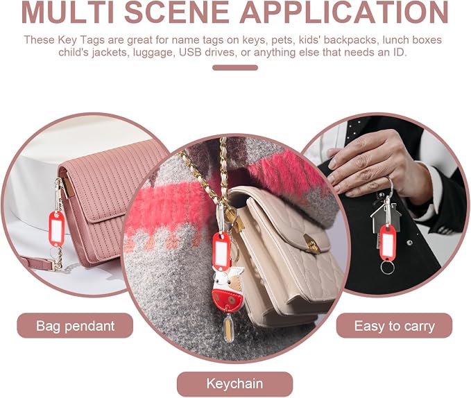 DOITOOL 4sets Multi-Functional Key Tags Luggage and Pet Identification Labels Easy to Use Color-Coded Organizers for Home Office and Travel