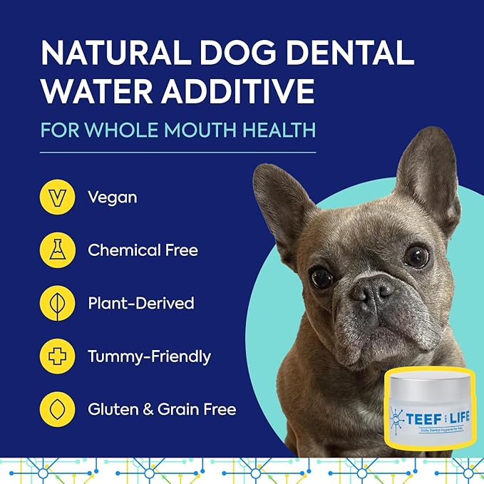 TEEF FOR LIFE Protektin42 Prebiotic Dental Powder for Dogs, Plant-derived, Clinically-Proven Formula Naturally Fights Bad Breath, Plaque, and Tartar, Dental Kit with 90 Servings (3 Packets)