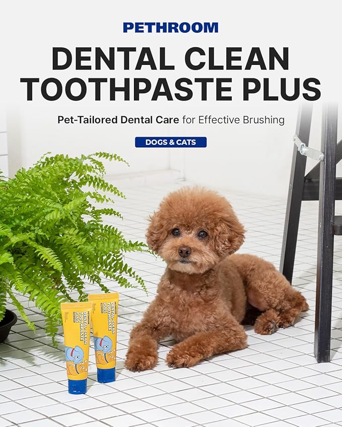 PETHROOM Pet Dental Clean Toothpaste Plus for Dogs & Cats – Apple Flavor, Enzymatic Toothpaste for Fresh Breath & Plaque Control, Gentle Daily Dental Care, Net Wt 2.1 oz