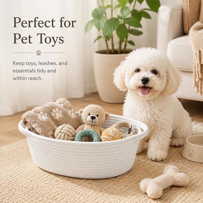 ABenkle Small Basket with Handles, Boho Decorative Rope Woven Dog Cat Toy Storage Bin Shelf Storage Organizer, Easter Christmas Gift Basket, 12"x8"x5", 2 Pack