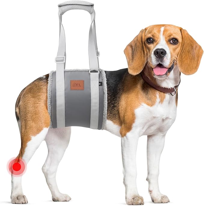 Adjustable Dog Sling for Medium Dogs Soft Post-ACL Surgery Mobility Aid | Dog Lift Harness, Helps Seniors, Injured, Disabled and After ACL Surgery Dogs, Daily Walk/ Stairs, Soft Padded, Easy to Use