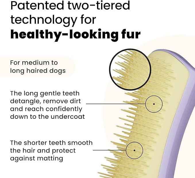 Pet Teezer Detangling Dog Grooming Brush, Dry Brush & Dog Bath Brush for Wet or Dry Fur & Light Shedding Breeds, Small, Lilac/Yellow