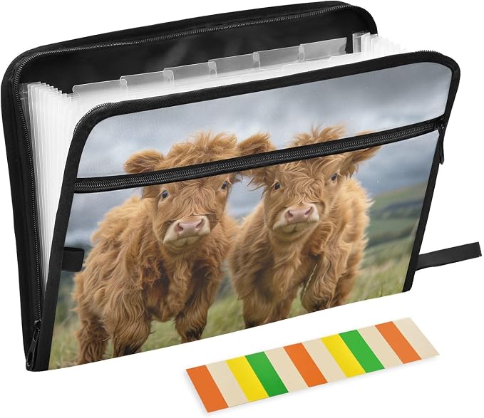13 Pocket Zipper Expanding File Folder A4 Cattle Highland Cow | Accordion File Organizer with Front Pouch A4 Letter Size Portable Folders for Documents Receipt School Office Supplies